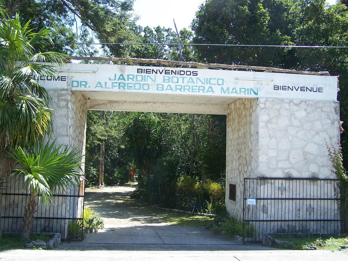 Jardín Botánico Dr. Alfredo Barrera Marin