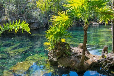 Cenote Azul: A natural wonder in Cancun